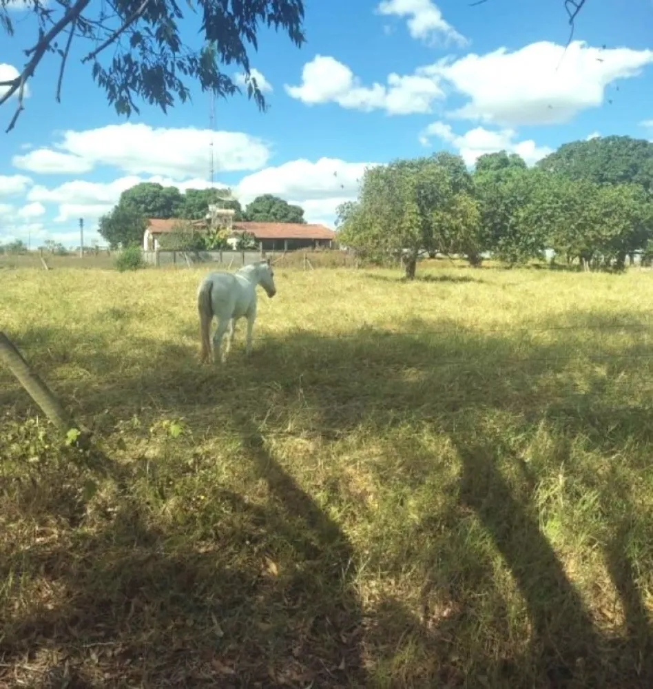 Fazenda, 654 hectares - Foto 19