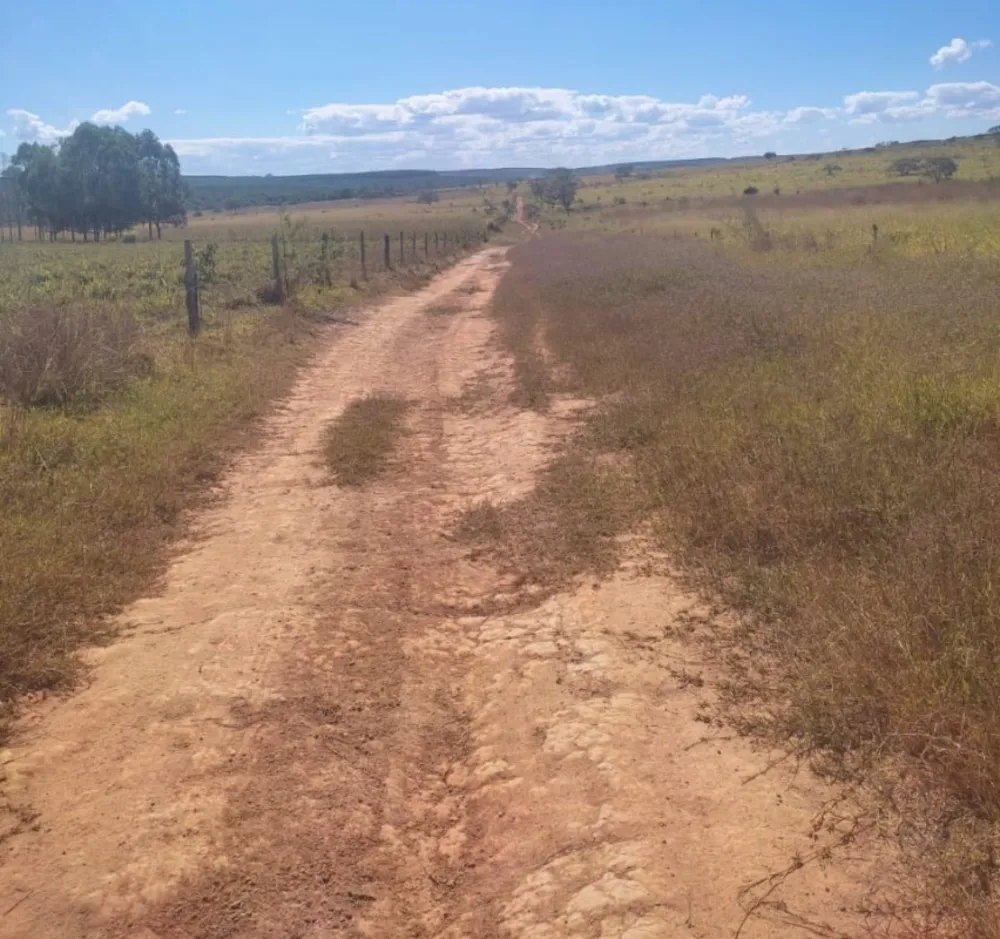 Fazenda, 654 hectares - Foto 15