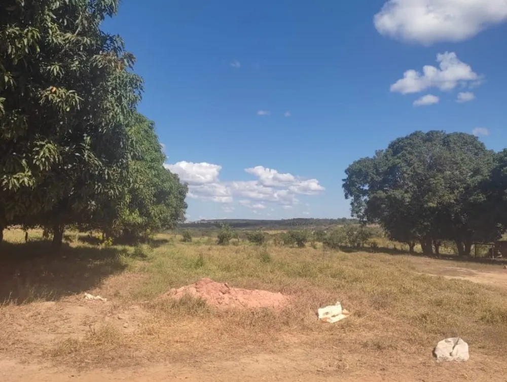 Fazenda, 654 hectares - Foto 3