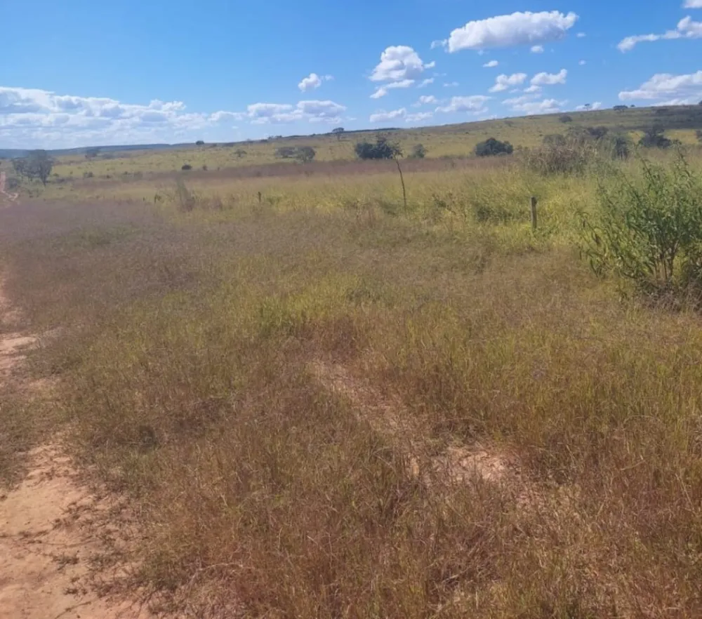 Fazenda, 654 hectares - Foto 5