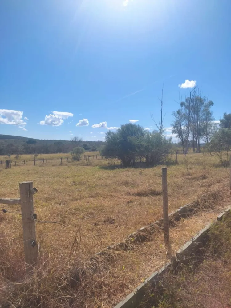 Fazenda, 654 hectares - Foto 6