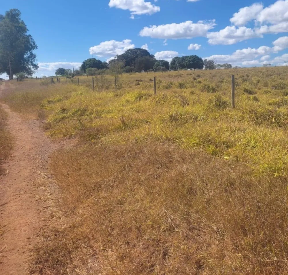 Fazenda, 654 hectares - Foto 8