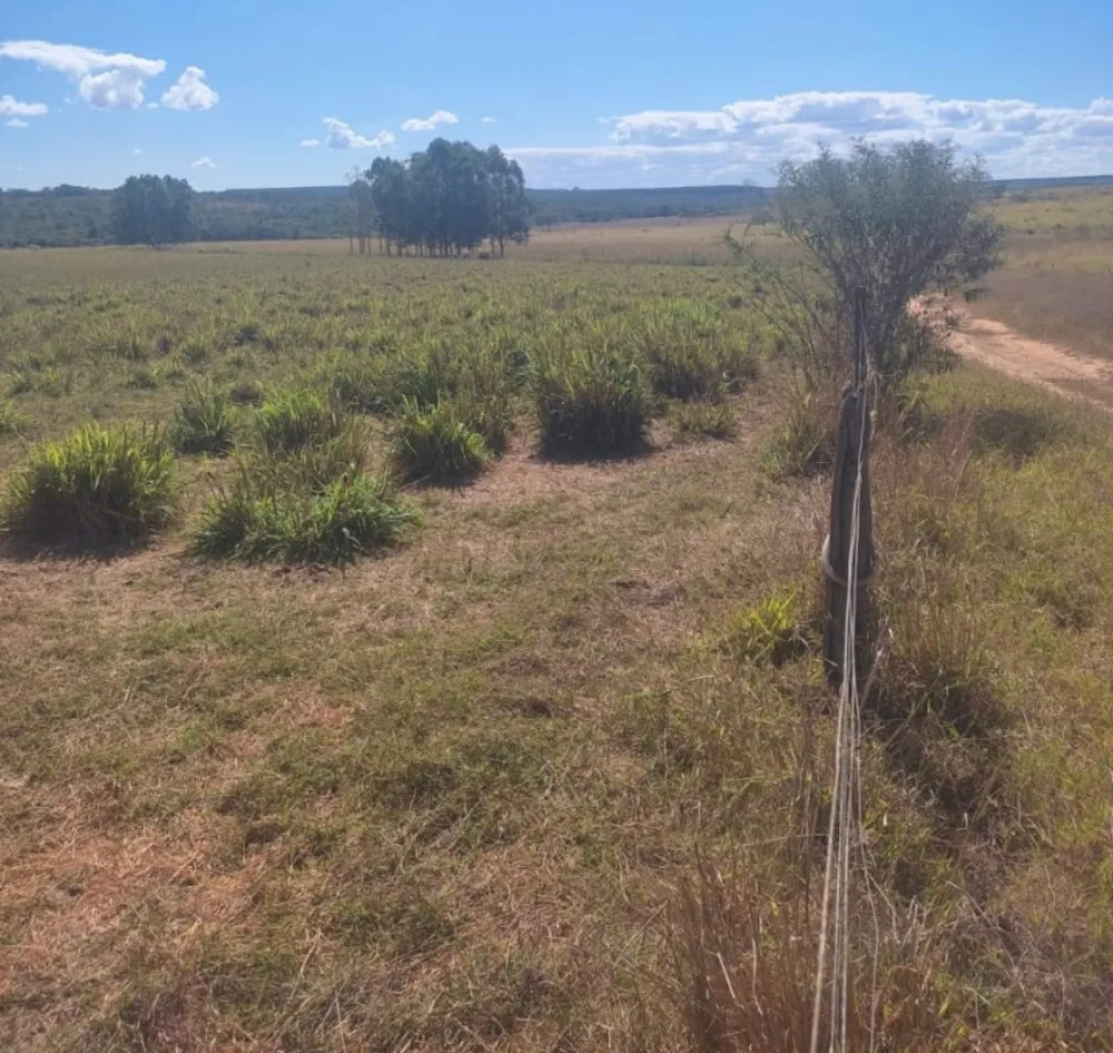 Fazenda, 654 hectares - Foto 9