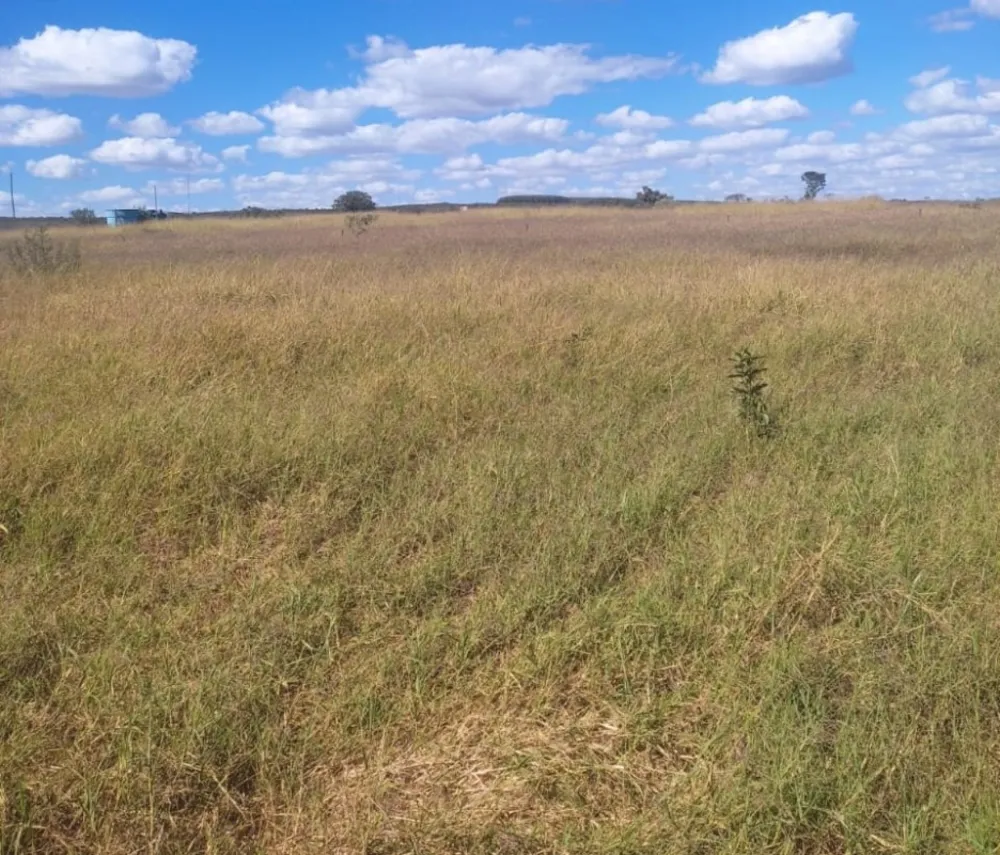 Fazenda, 654 hectares - Foto 2