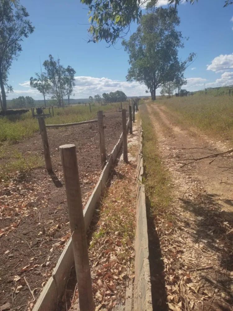 Fazenda, 654 hectares - Foto 8