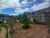Terreno - Foto 3