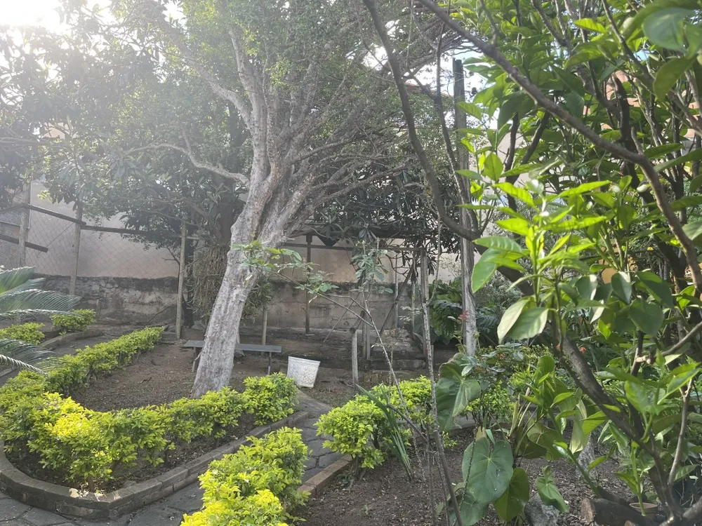Terreno, 720 m² - Foto 8