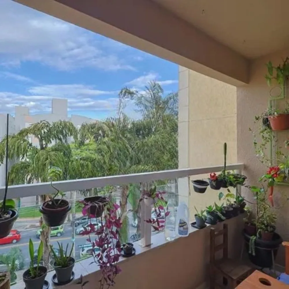 Apartamento, 3 quartos, 70 m² - Foto 1