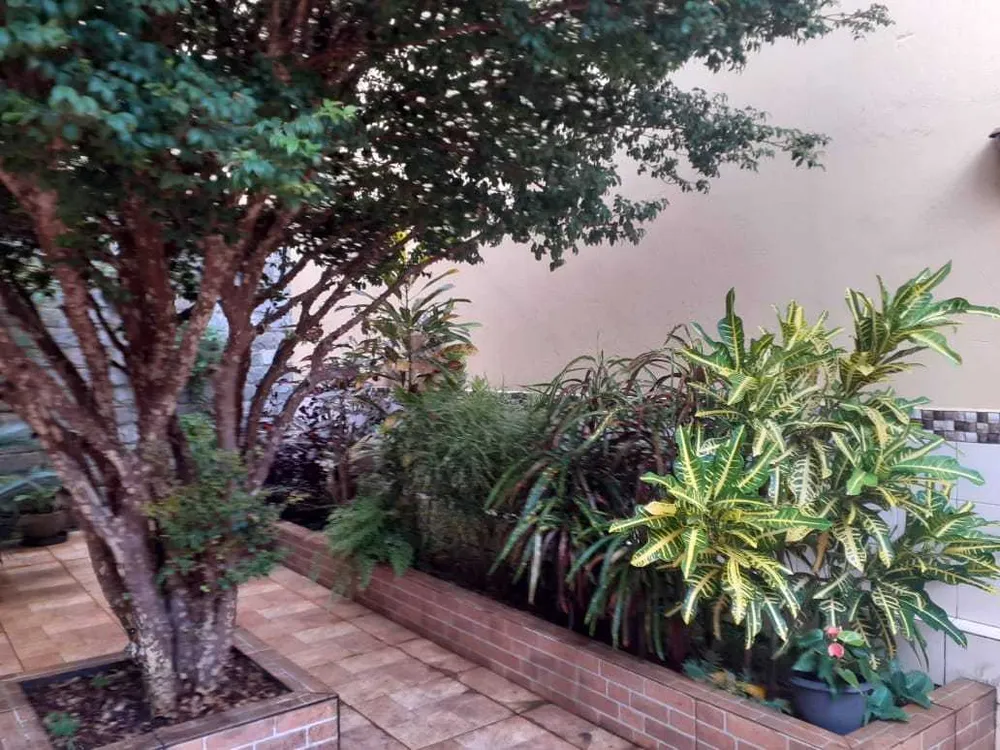 Casa, 4 quartos, 360 m² - Foto 11