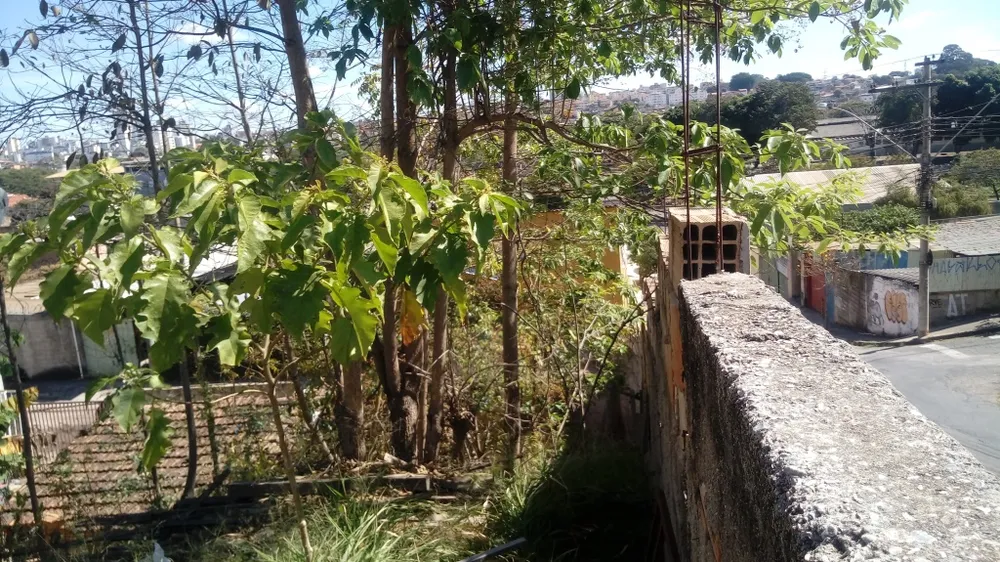 Terreno, 396 m² - Foto 10