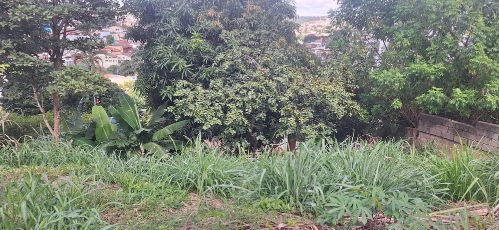 Terreno, 287 m² - Foto 6