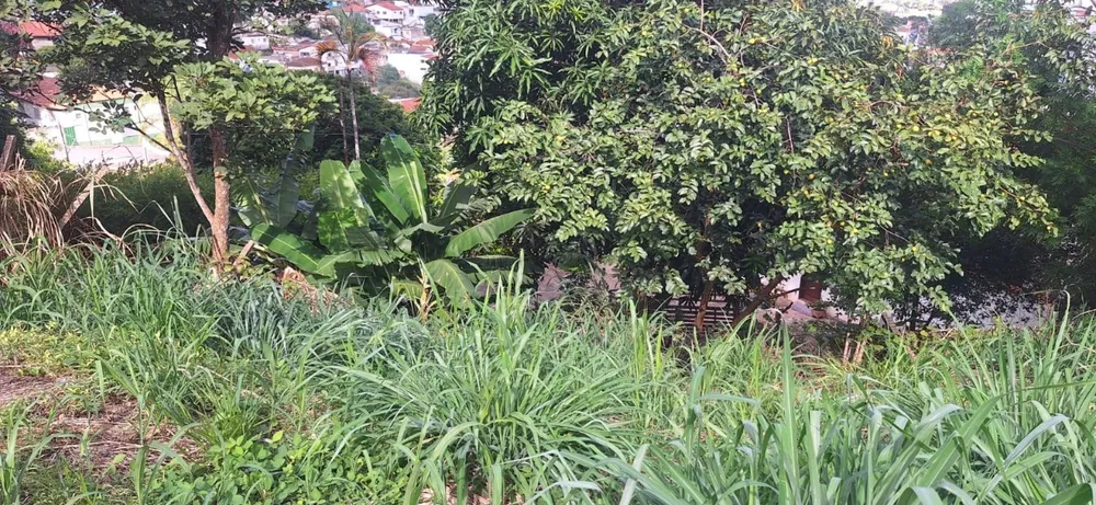 Terreno, 287 m² - Foto 5