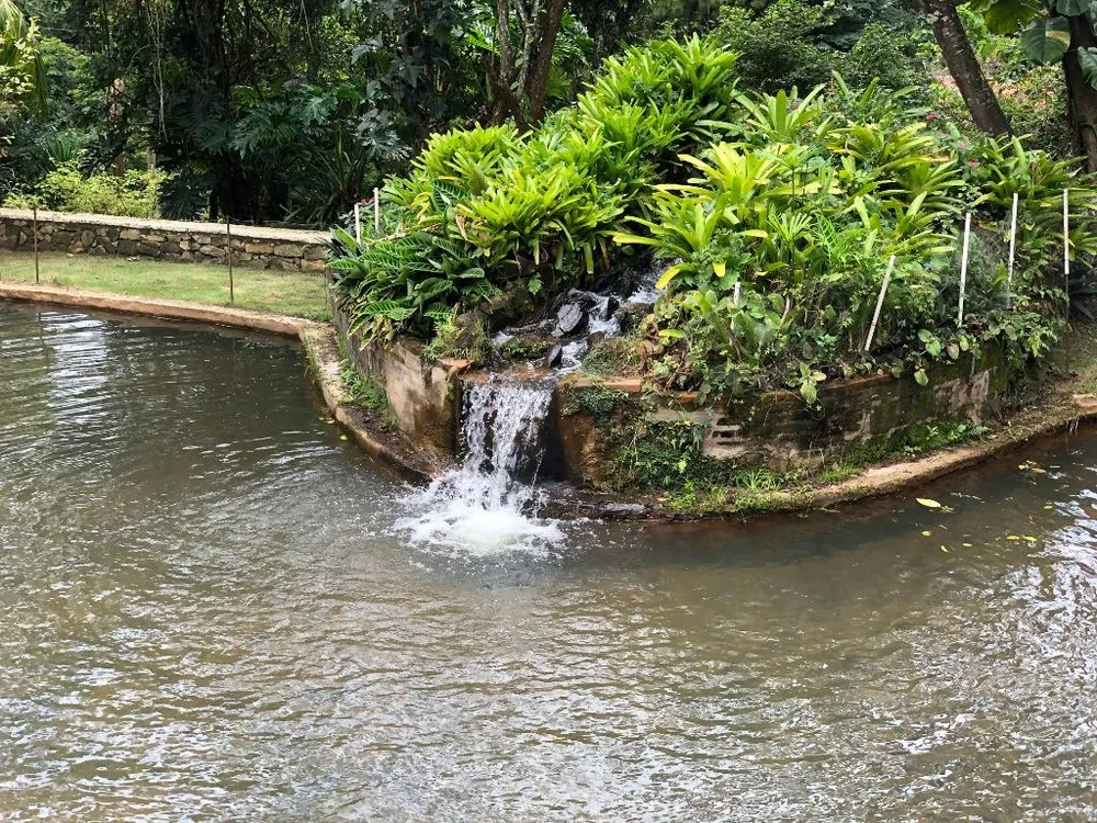 Chácara, 4 quartos - Foto 1