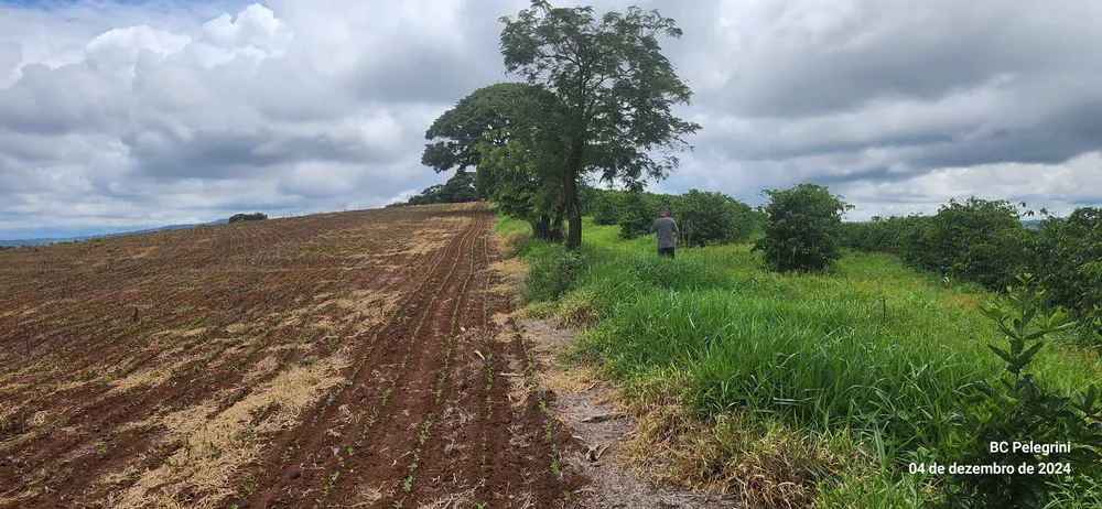 Sítio, 2 quartos, 28 hectares - Foto 4