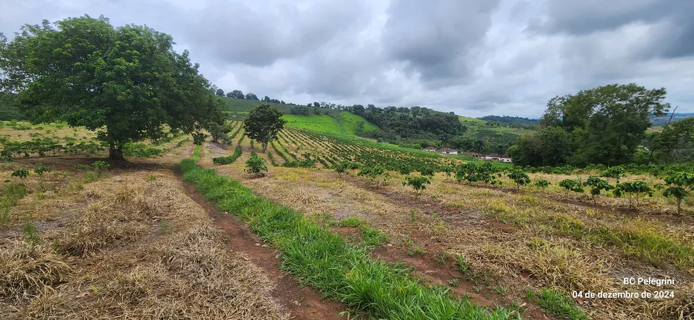 Sítio, 2 quartos, 28 hectares - Foto 11