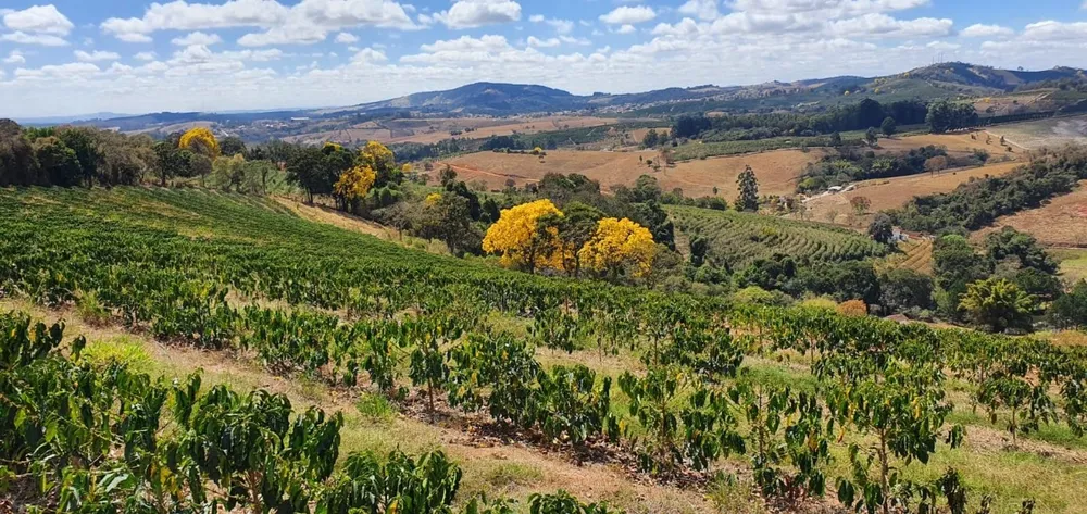 Sítio, 2 quartos, 28 hectares - Foto 13