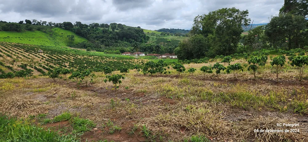 Sítio, 2 quartos, 28 hectares - Foto 8