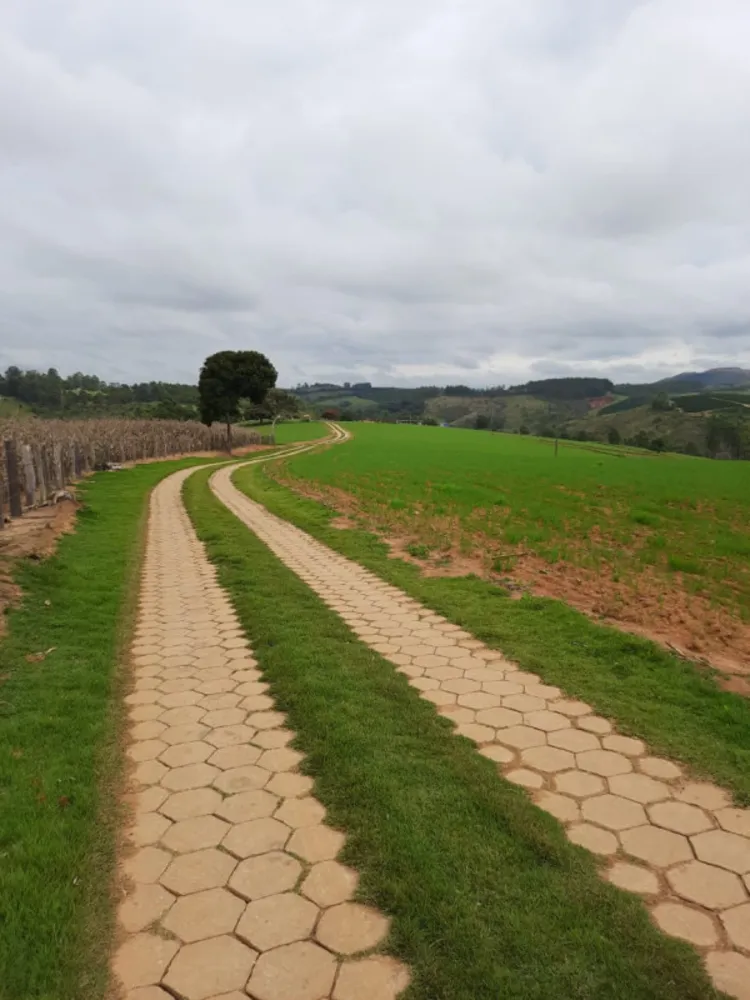 Fazenda, 4 quartos - Foto 6