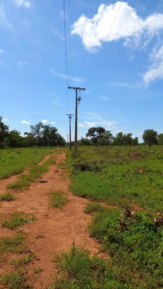 Fazenda, 1 quarto - Foto 5