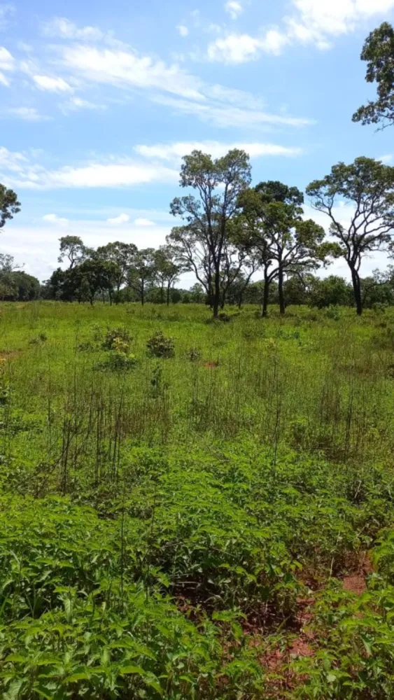 Fazenda, 1 quarto - Foto 12