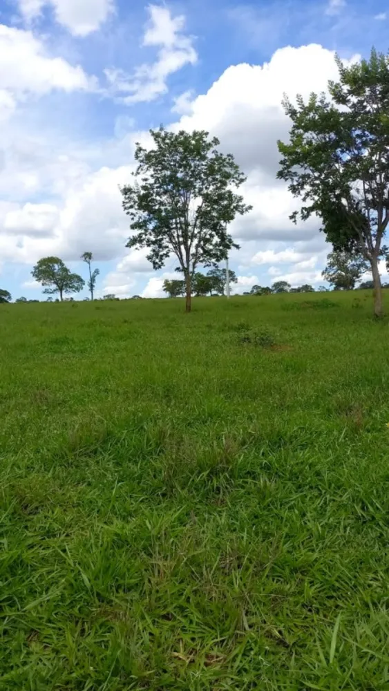 Fazenda, 1 quarto - Foto 14