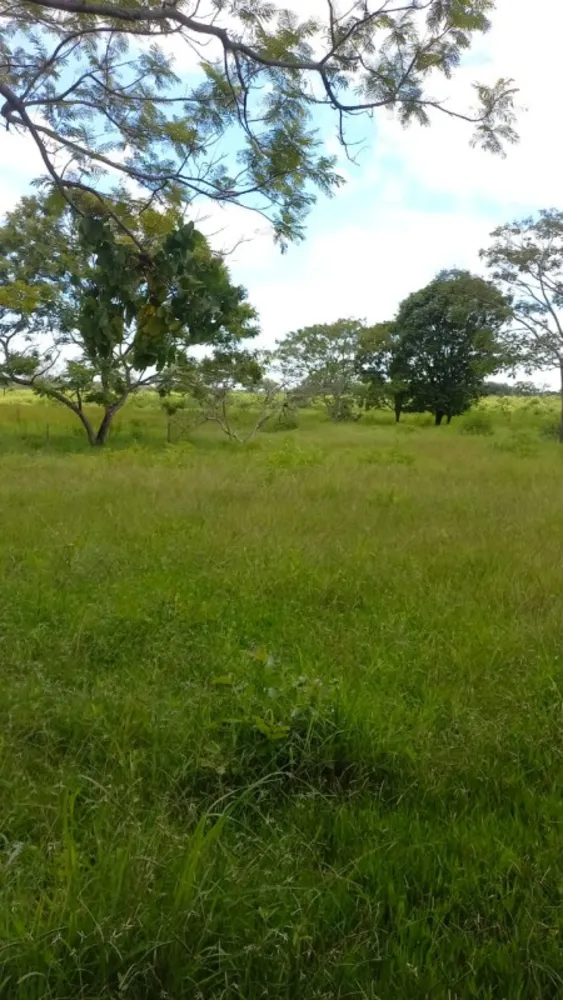 Fazenda, 1 quarto - Foto 16