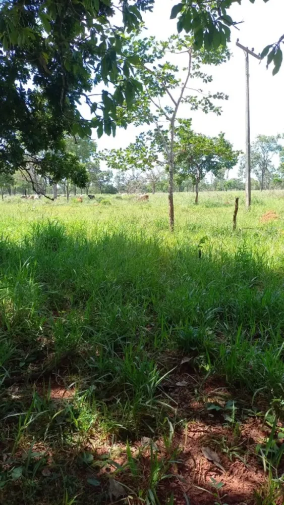 Fazenda, 1 quarto - Foto 11