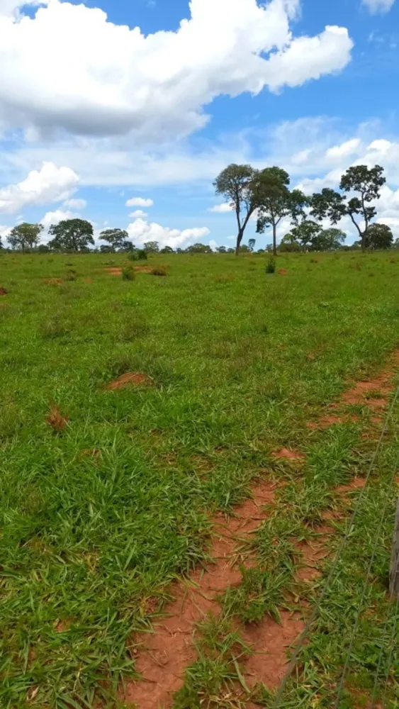 Fazenda, 1 quarto - Foto 7