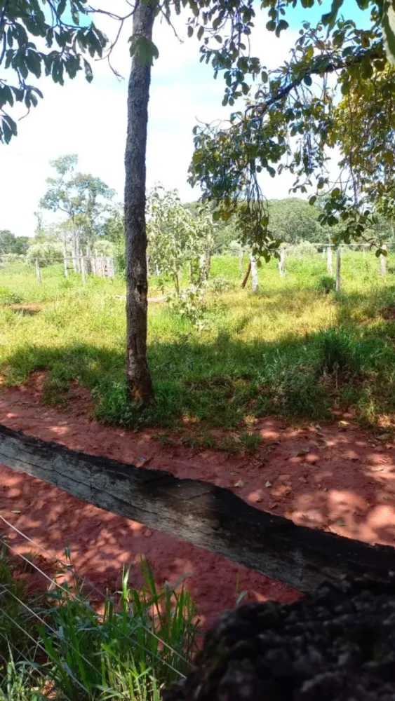 Fazenda, 1 quarto - Foto 2