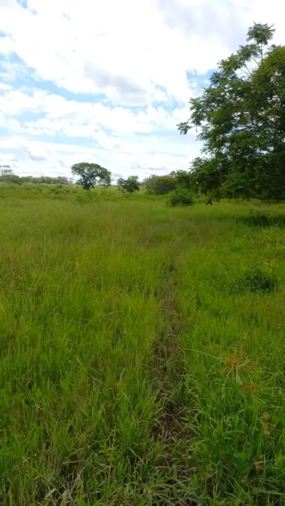 Fazenda, 1 quarto - Foto 8