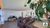 Cobertura, 4 quartos, 404 m² - Foto 1