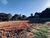 Terreno, 1630 m² - Foto 1