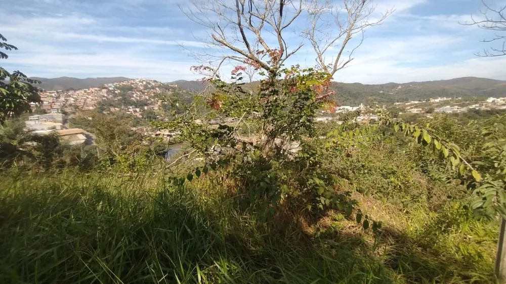 Terreno, 381 m² - Foto 3