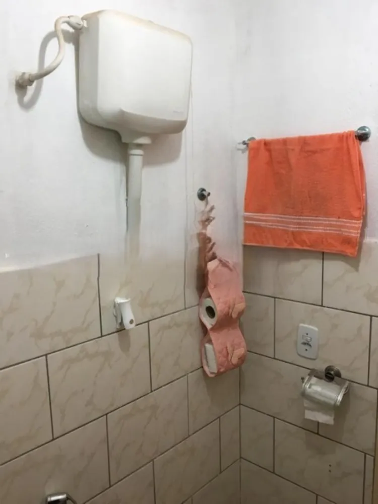 Chácara, 4 quartos, 5400 m² - Foto 12