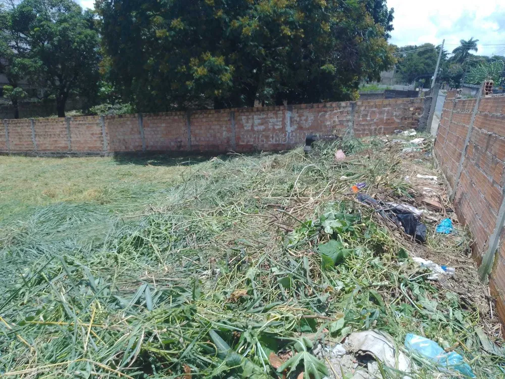 Terreno - Foto 3