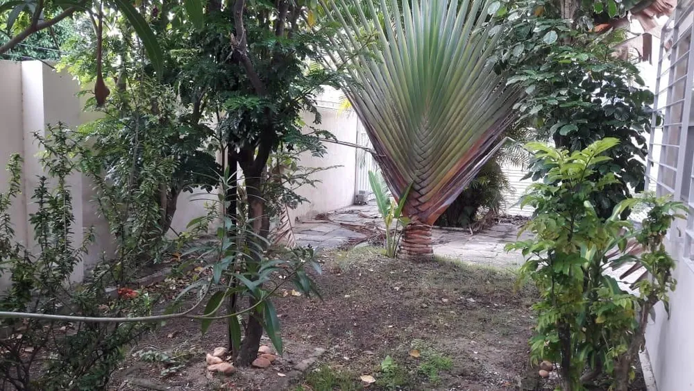 Casa, 3 quartos, 450 m² - Foto 12