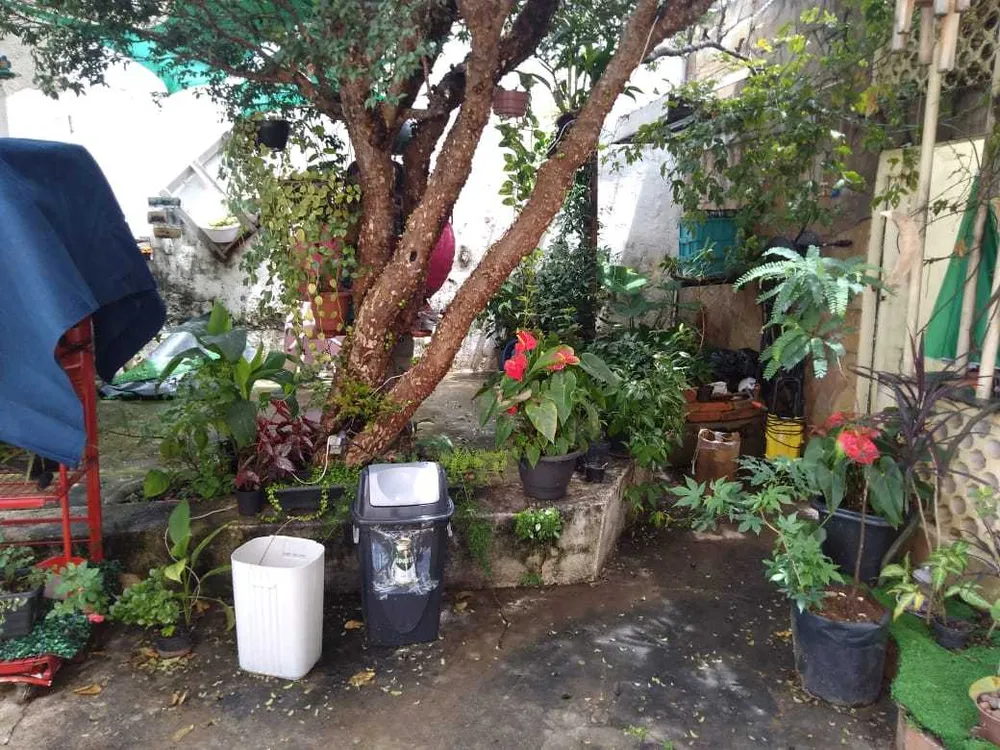 Terreno, 400 m² - Foto 5