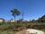 Terreno, 360 m² - Foto 4