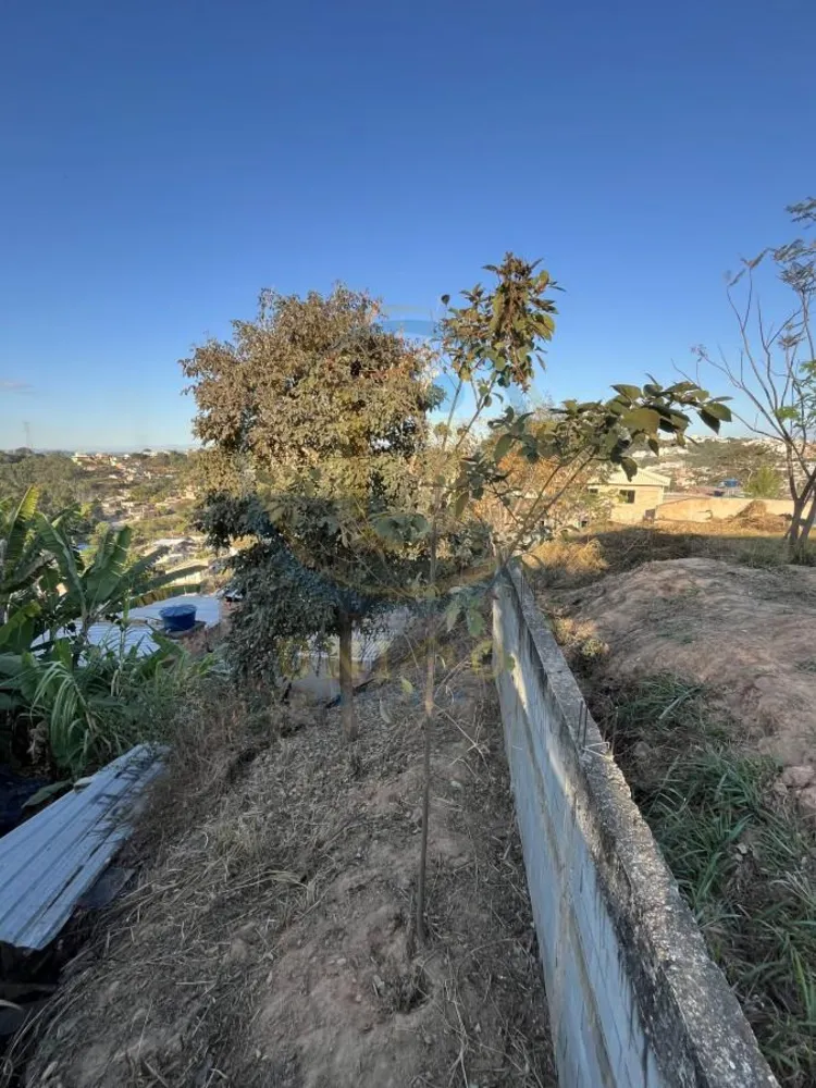 Terreno, 460 m² - Foto 8
