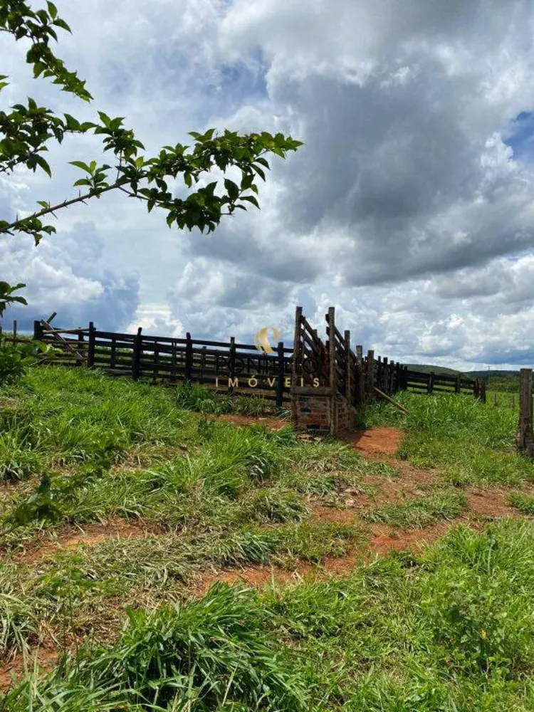 Fazenda, 250 hectares - Foto 9