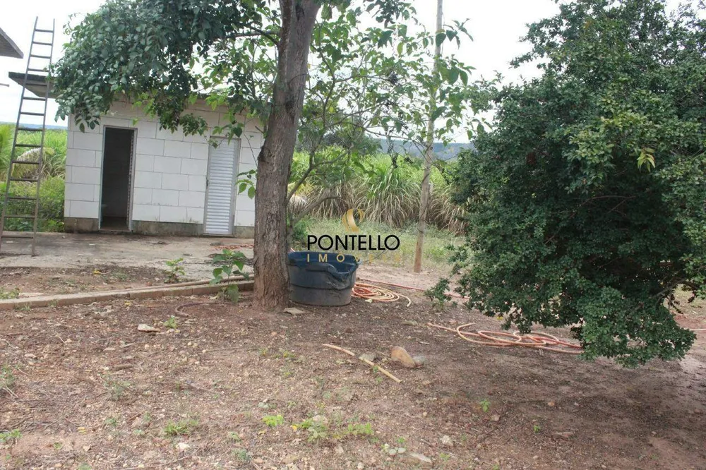 Fazenda, 250 hectares - Foto 6