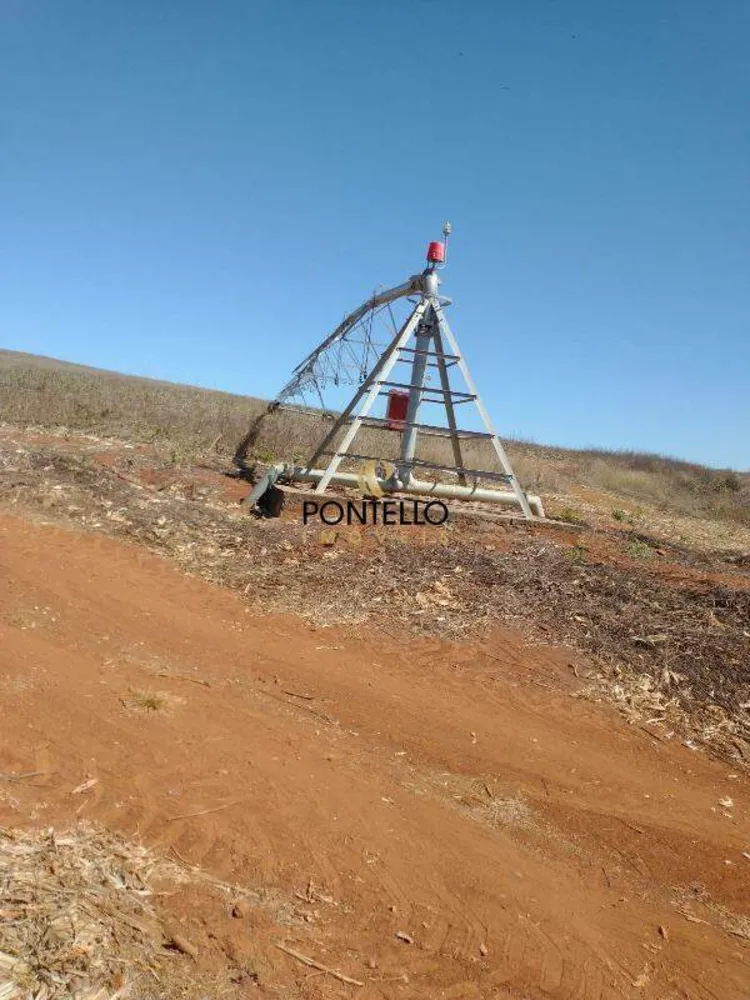Fazenda, 250 hectares - Foto 11