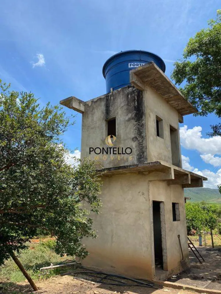 Fazenda, 250 hectares - Foto 8