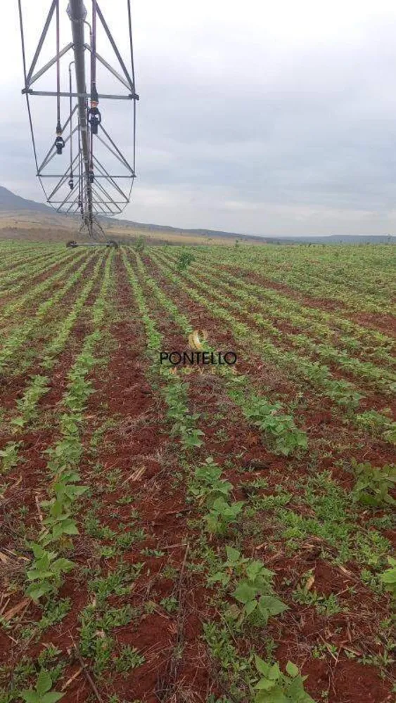 Fazenda, 250 hectares - Foto 12