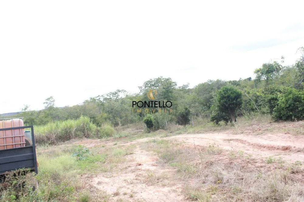 Fazenda, 250 hectares - Foto 2