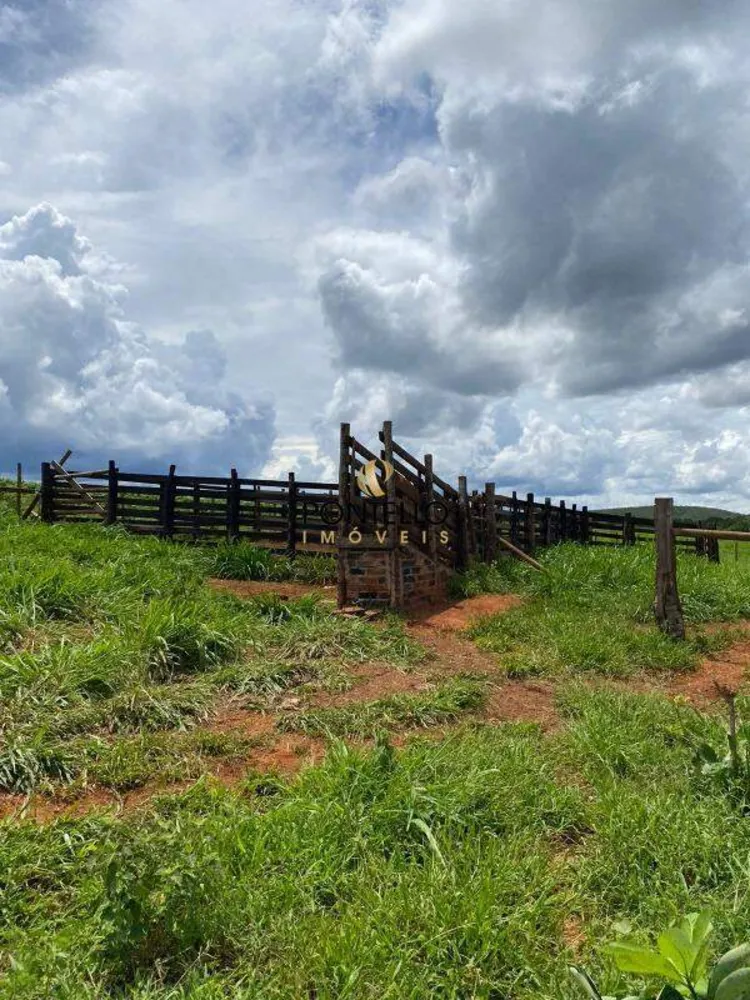 Fazenda, 250 hectares - Foto 1