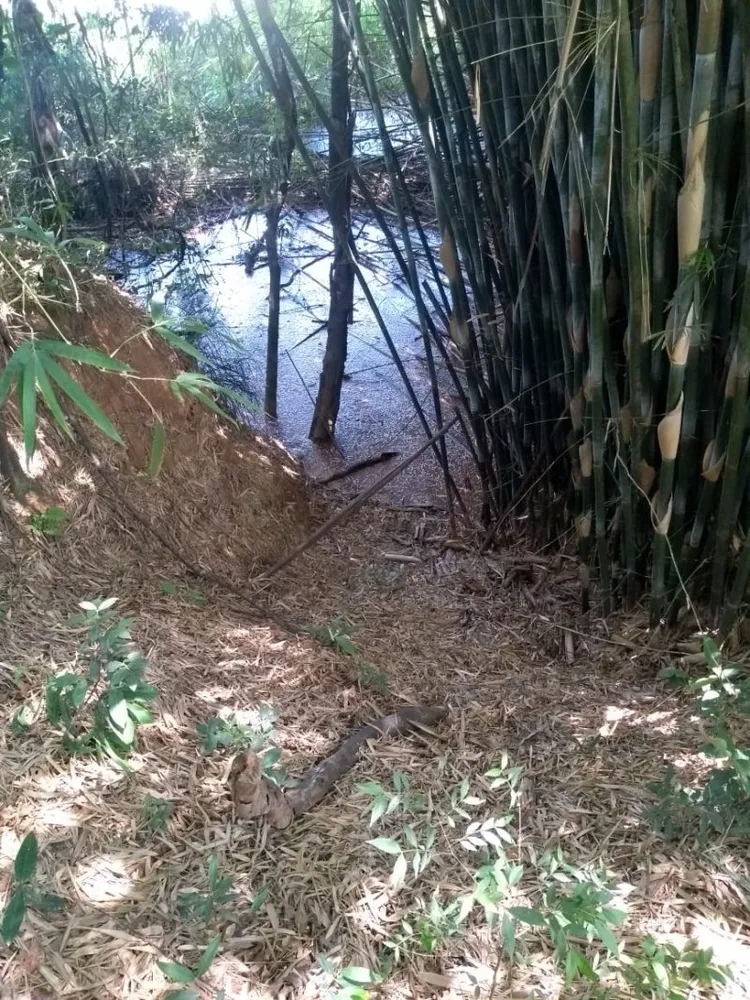 Chácara, 7 quartos - Foto 8