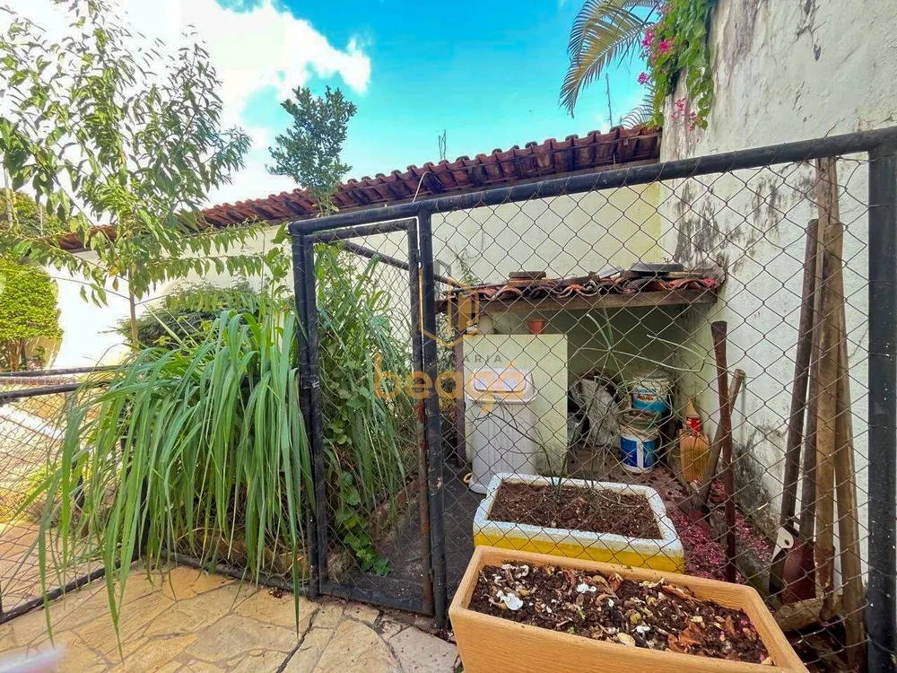 Casa, 4 quartos, 376 m² - Foto 3