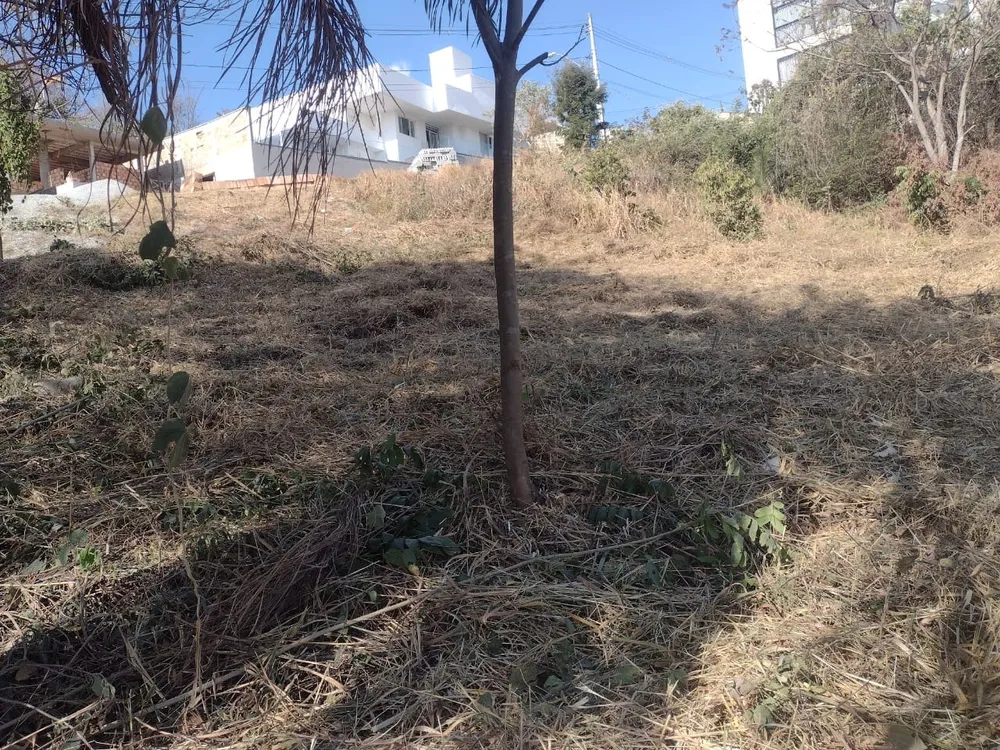 Terreno, 415 m² - Foto 5