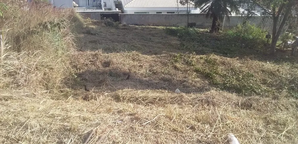Terreno, 415 m² - Foto 6